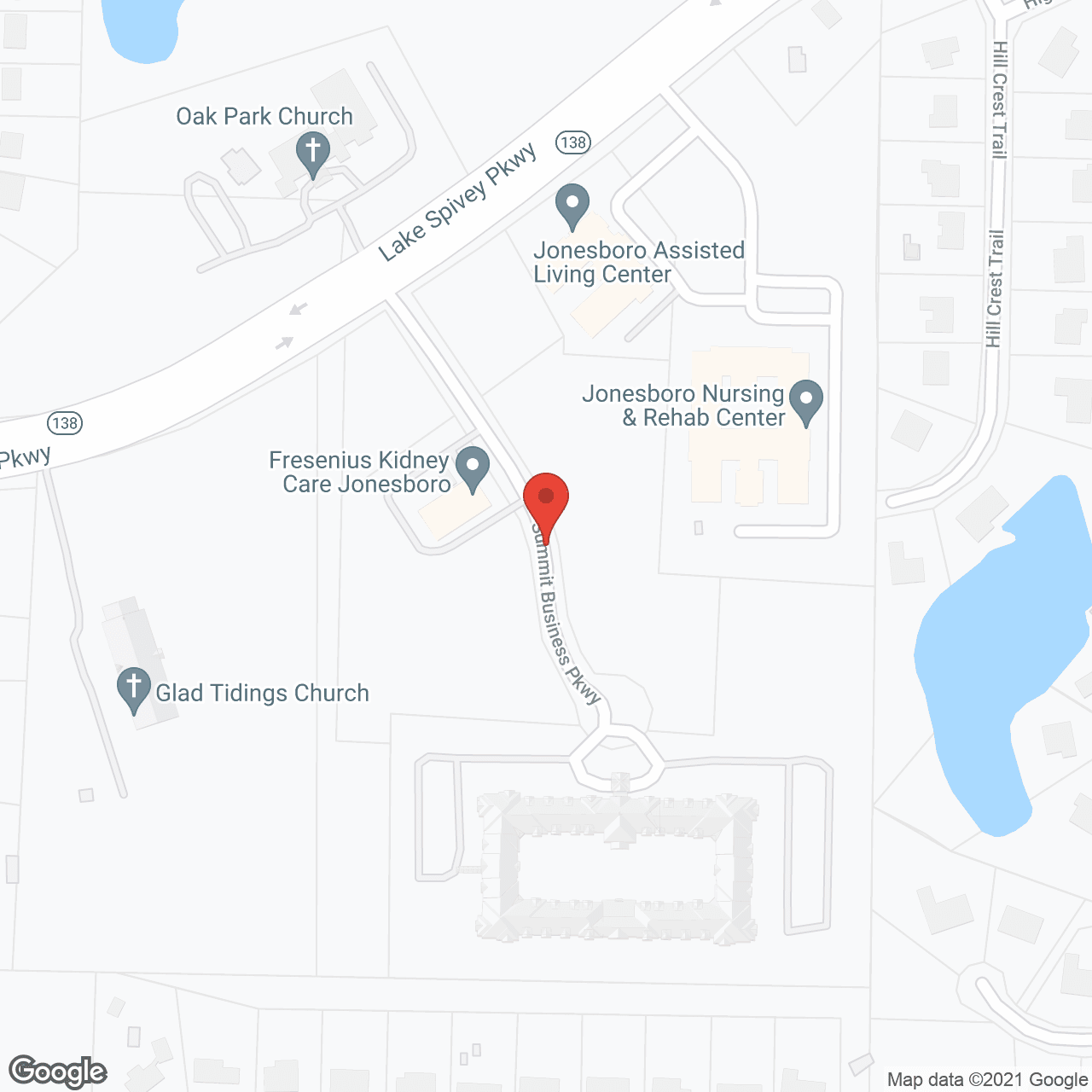 Palms of Lake Spivey in google map